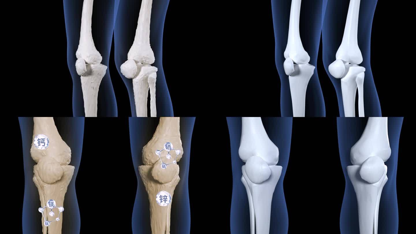 微量元素进入膝盖 骨头恢复如初