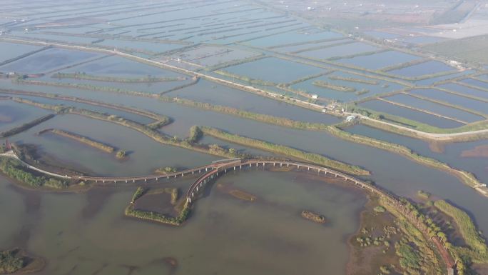 珠海大门口湿地公园2