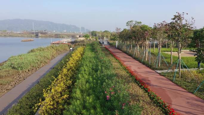 珠海大门口湿地公园5