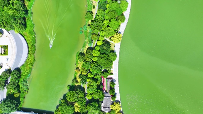 广州海珠湿地公园航拍