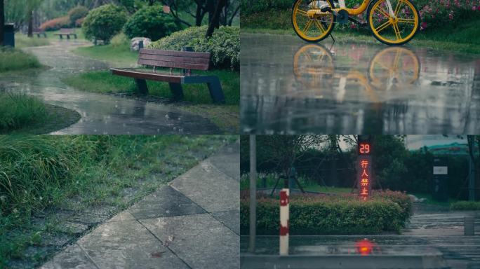 实拍城市公园雨景