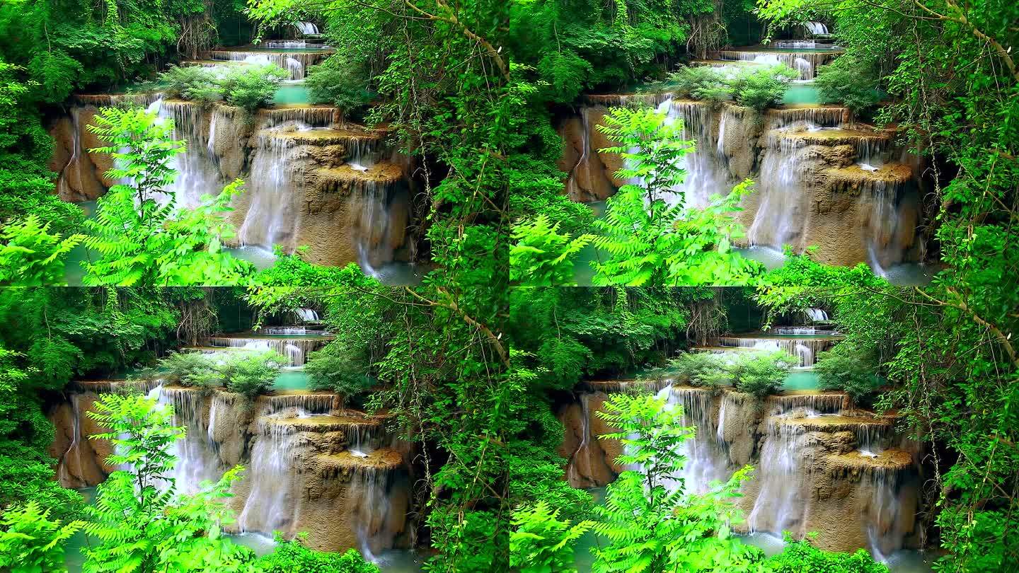 雨林中的瀑布