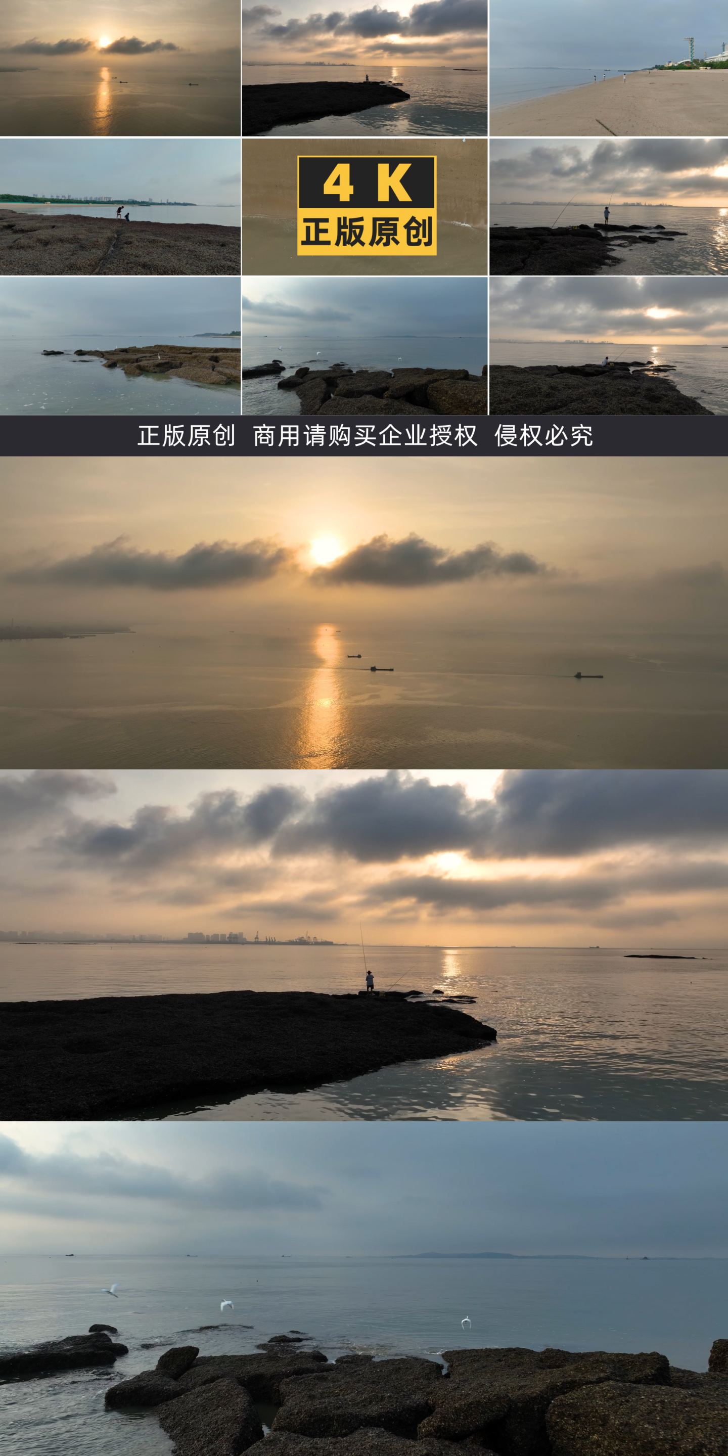 日出日落海边钓鱼游玩海浪沙滩白鹭