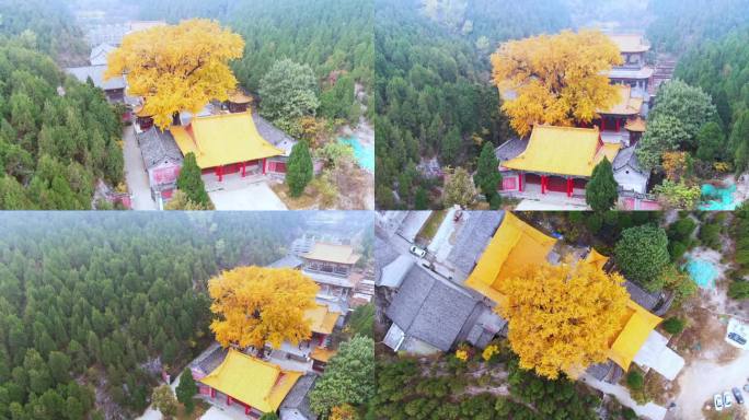 山东济南淌豆寺秋天航拍寺庙