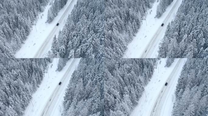 黑车行驶在雪道上