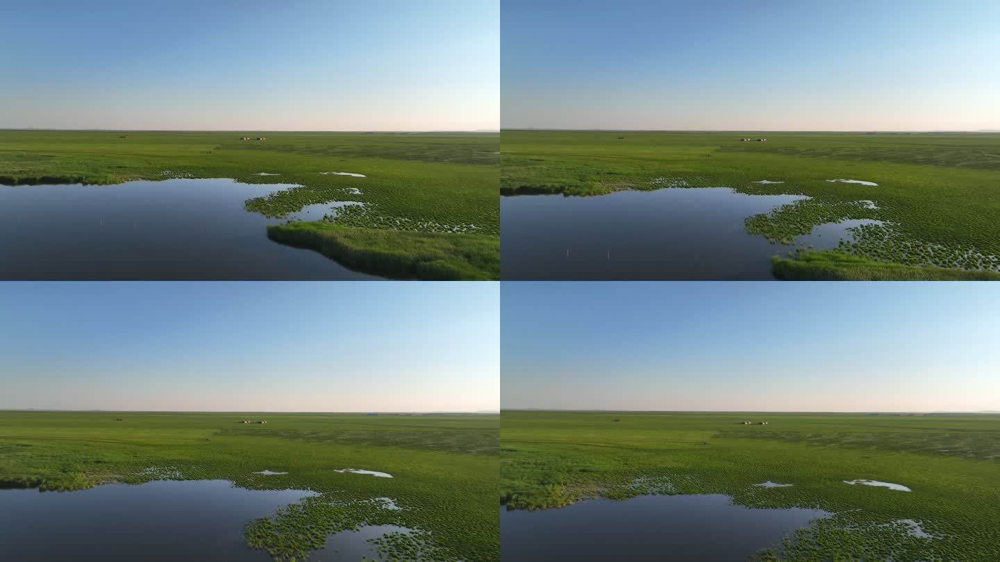 4K内蒙古呼伦贝尔湿地航拍