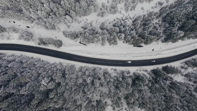 漫长的道路在冬天穿过白雪覆盖的森林
