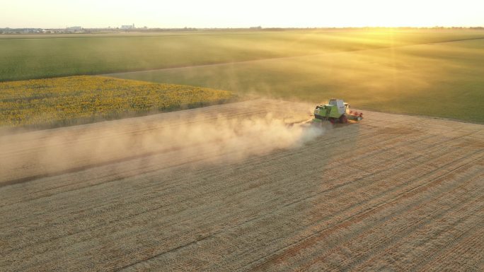 农业收割机的空中视图，夜间在农田收割成熟小麦时结合起来.