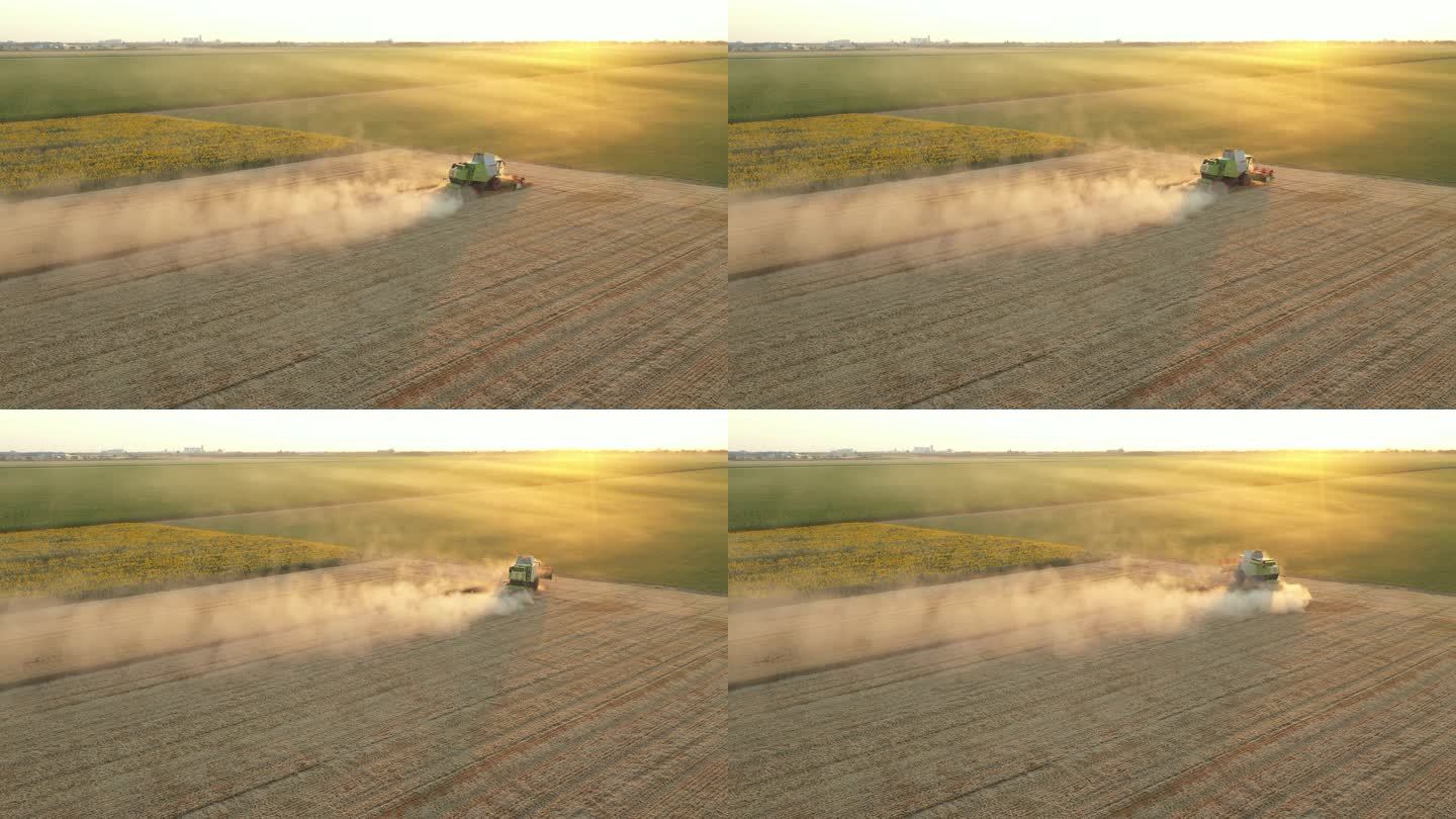 农业收割机的空中视图，夜间在农田收割成熟小麦时结合起来.
