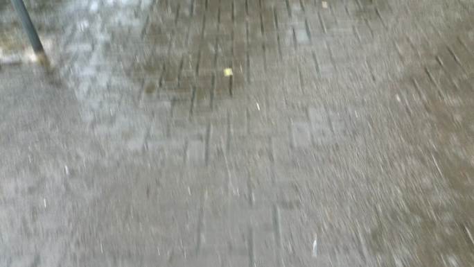 下雨 看路 撑伞 走路 地面