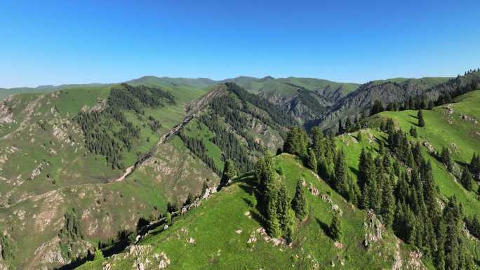 新疆伊犁州特克斯县阿克塔斯高山草原风光