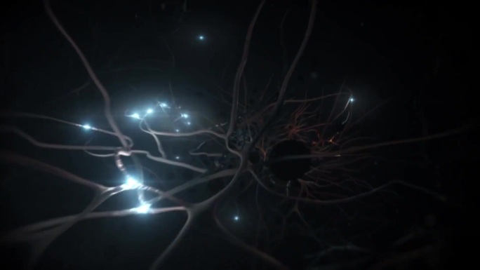 神经和突触活动动画。大脑中的神经元，神经活动，突触，神经递质，大脑，轴突。人脑内部的电脉冲.