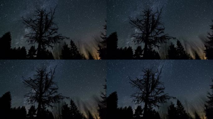 在星夜夏夜的森林轮廓上，星空闪烁着银河般的银河