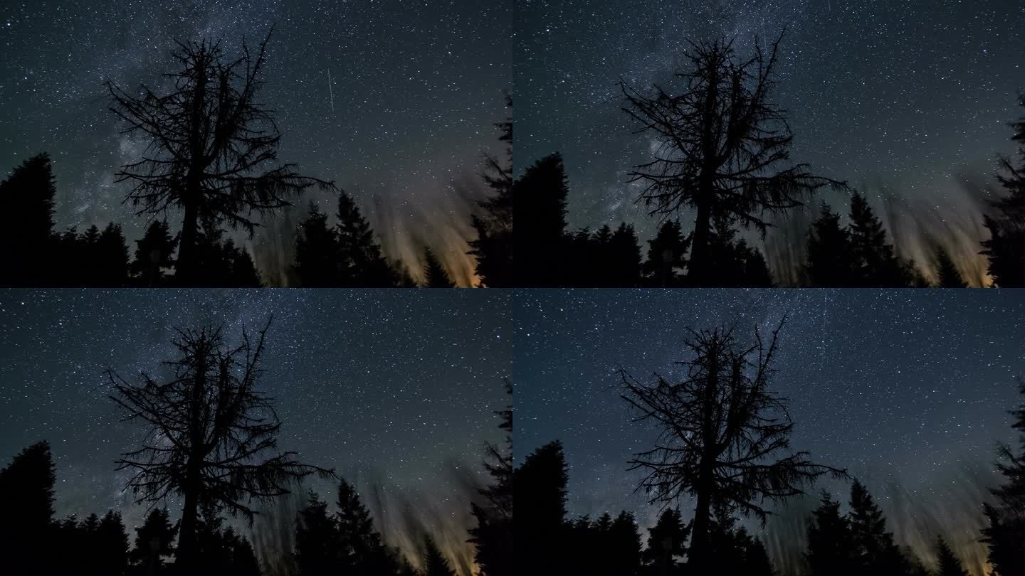 在星夜夏夜的森林轮廓上，星空闪烁着银河般的银河