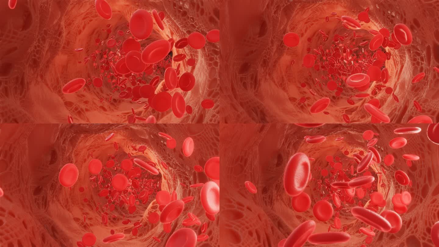 红血球在动脉中流动.3d视频