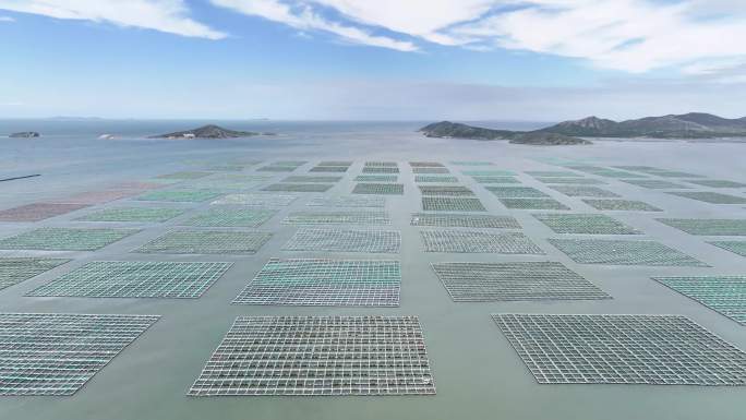 海洋牧场 海水养殖