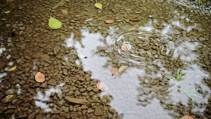 4K雨水滴落升格实拍3