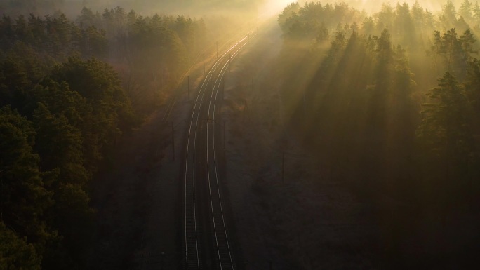 黎明时分在针叶林中的铁路轨道.从无人机看到的.