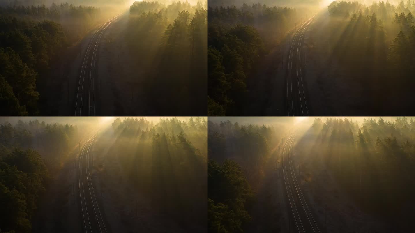 黎明时分在针叶林中的铁路轨道.从无人机看到的.
