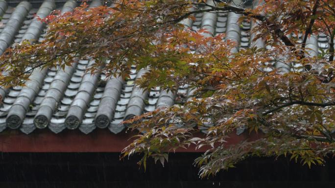 4K重庆下雨雨季屋檐实拍合集