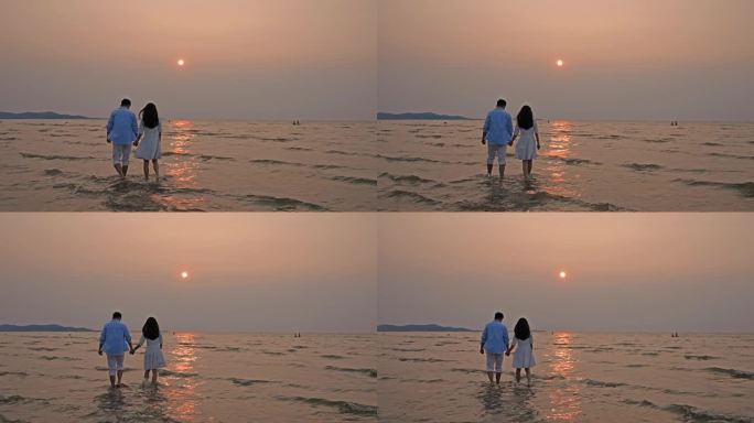 情侣看夕阳 海边看夕阳