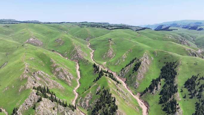 新疆伊犁州特克斯县阿克塔斯高山草原风光