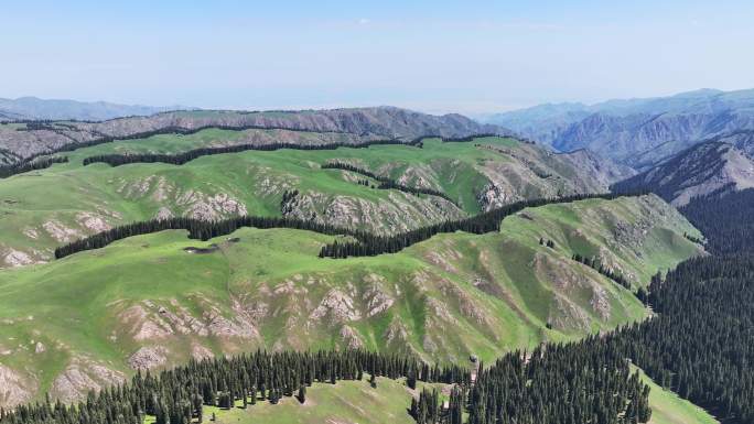 新疆伊犁州特克斯县阿克塔斯高山草原风光