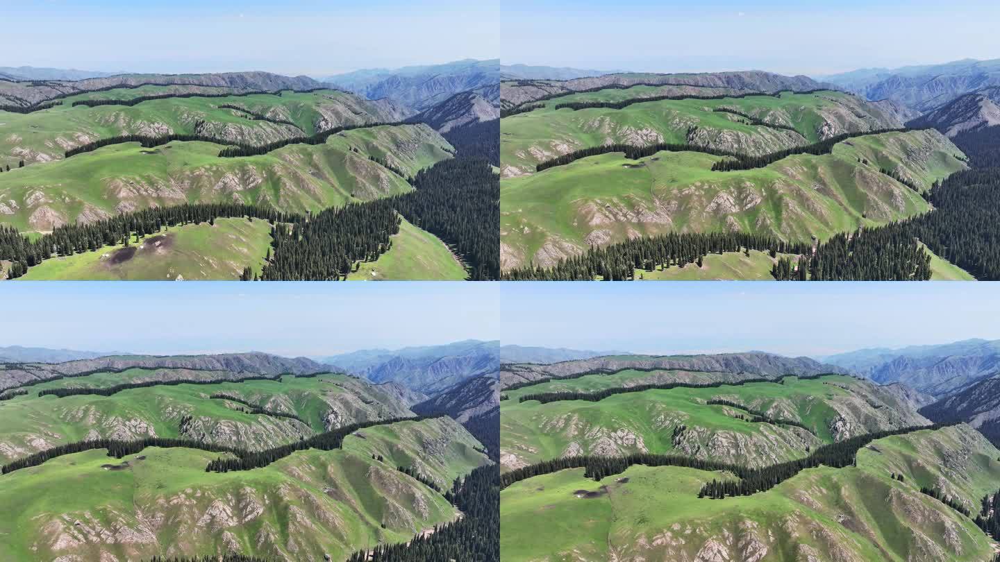 新疆伊犁州特克斯县阿克塔斯高山草原风光