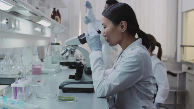 亚洲女化学家实验室研究的缓慢步伐，用显微镜作为她的同事，在试管背景下的瓶内黑人男化学家混合液中检测轮