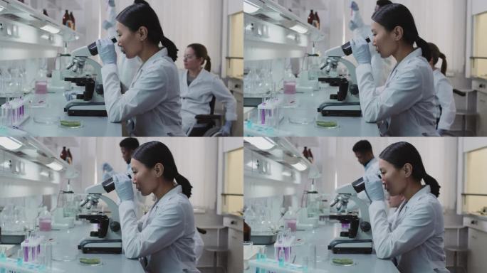 亚洲女化学家实验室研究的缓慢步伐，用显微镜作为她的同事，在试管背景下的瓶内黑人男化学家混合液中检测轮