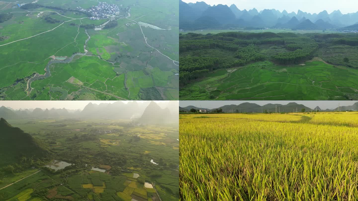 航拍桑田森林山丘稻田田野绿色美丽乡村风景