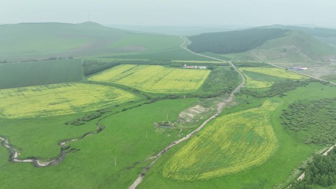 雾霭蒙蒙山野风景