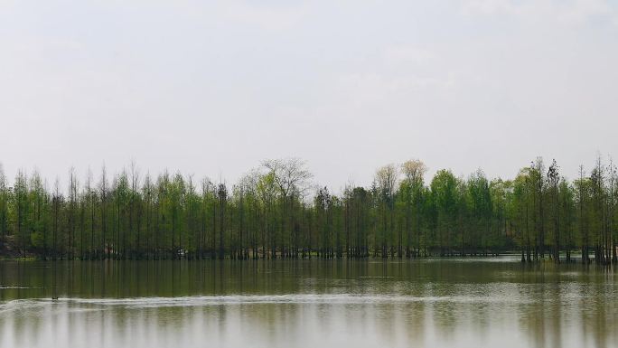 湖边天空树林倒影