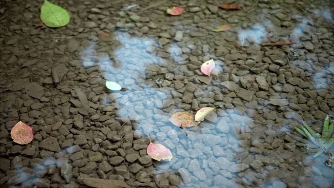 4K雨水滴落升格实拍