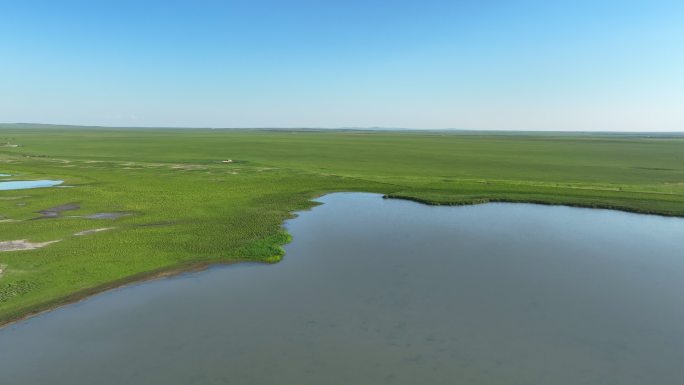 4K内蒙古呼伦贝尔湿地航拍