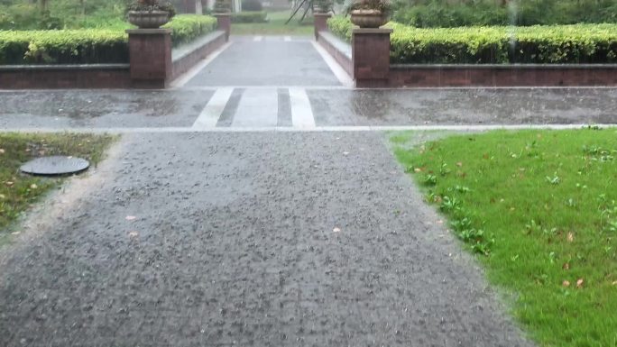 下雨 看路 撑伞 走路 地面