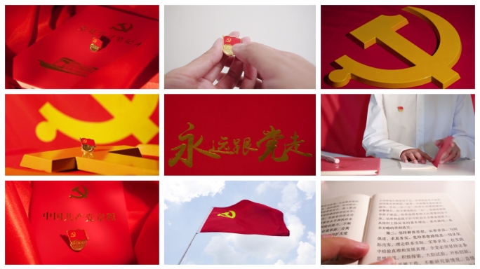 宣誓  学习党章