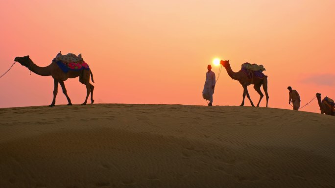 印度骆驼(骆驼司机)贝都因人，日落时带着骆驼的轮廓在塔尔沙漠的沙丘上。拉贾斯坦邦的商队在旅游背景下探