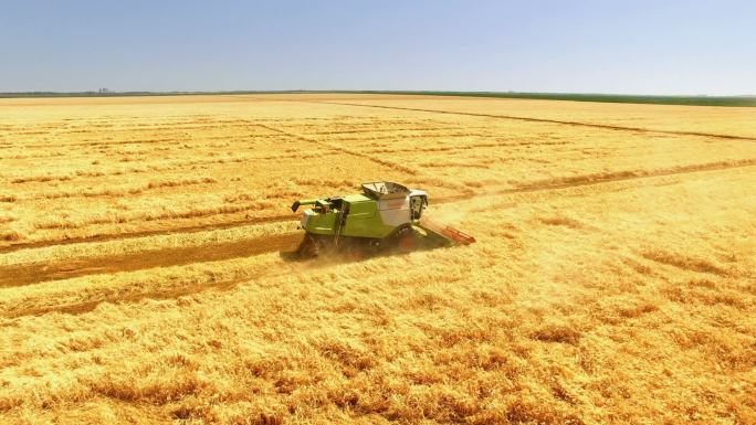 空中喷洒小麦收获季节；麦田收获季节混合收割机