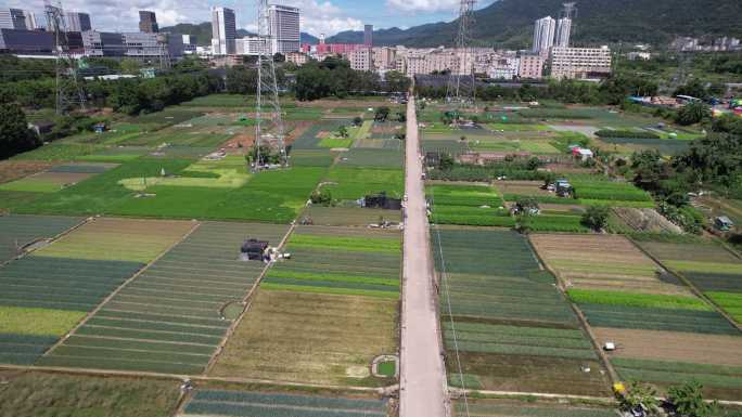 深圳乡村