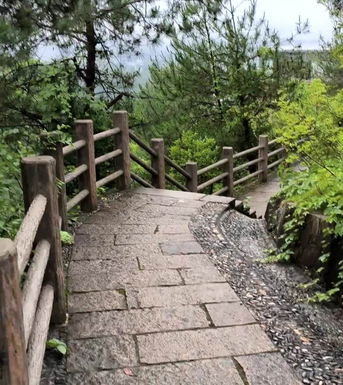 千岛湖 登山 树 石板路 观景台