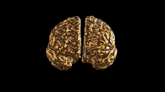 大脑黄金版效果展示通道素材
