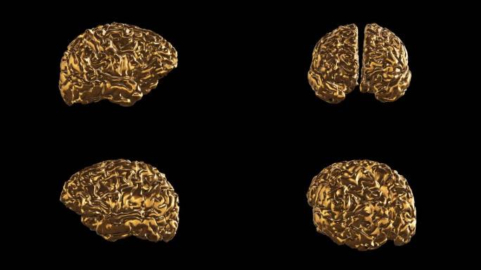 大脑黄金版效果展示通道素材