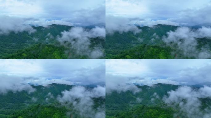 森林云雾绿色生态天然氧吧森林覆盖率