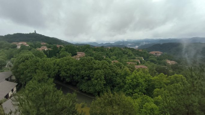 千岛湖 登山 树 木板路 观景台