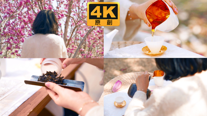 春游户外喝茶4K实拍