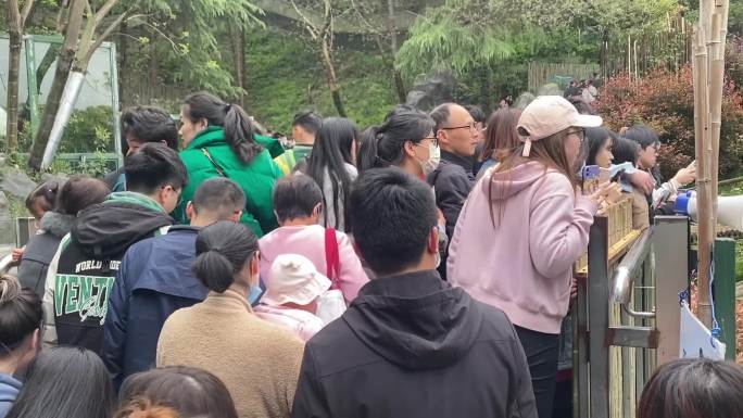南京红山动物园熊猫馆人群人流