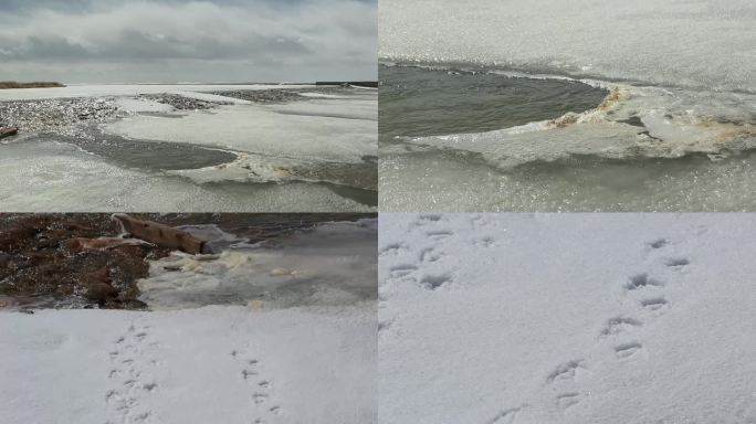 C雪融冰河高清实拍