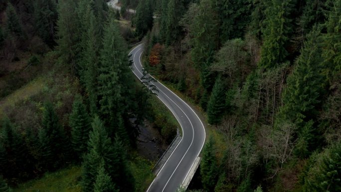 高速公路穿过乌克兰喀尔巴阡山脉的一个成熟的云杉森林。空中飞行