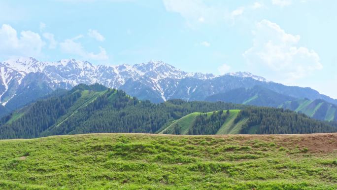 航拍大美新疆雪山游客打卡地空中草原